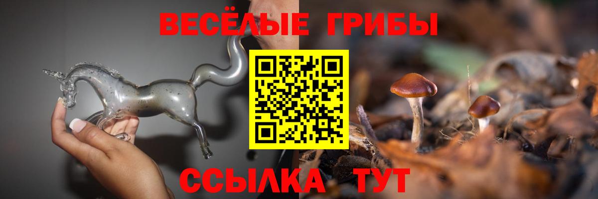 Галлюциногенные грибы мухоморы  где можно купить   Буйнакск  Вход с VPN 